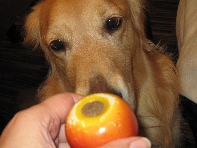 ファイル 1489-3.jpg