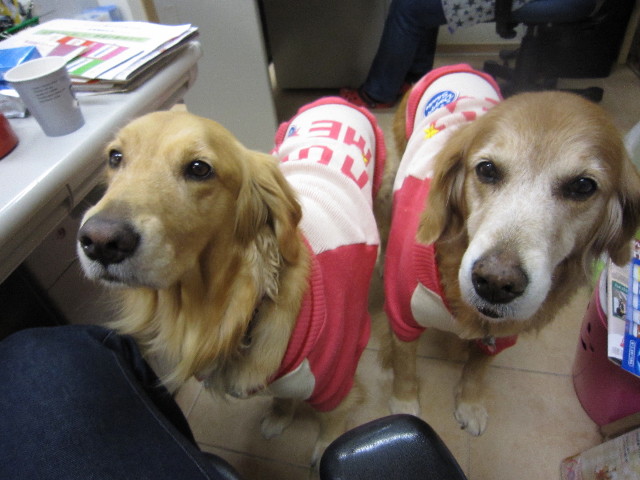 ファイル 1489-5.jpg