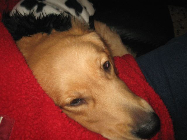 ファイル 149-1.jpg