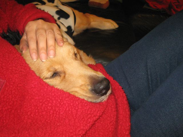 ファイル 149-2.jpg