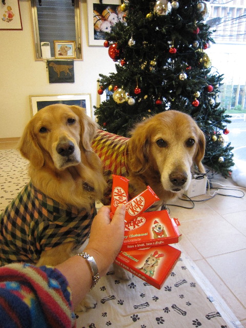 ファイル 1490-2.jpg