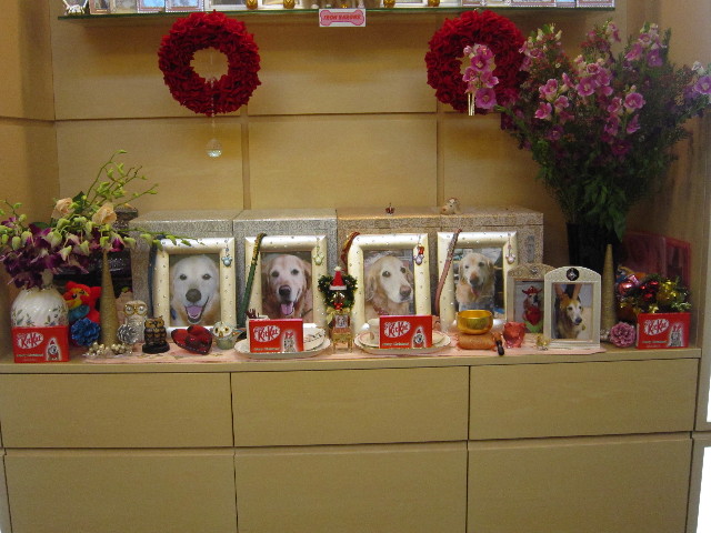 ファイル 1490-3.jpg