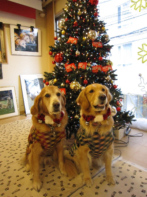 ファイル 1490-4.jpg