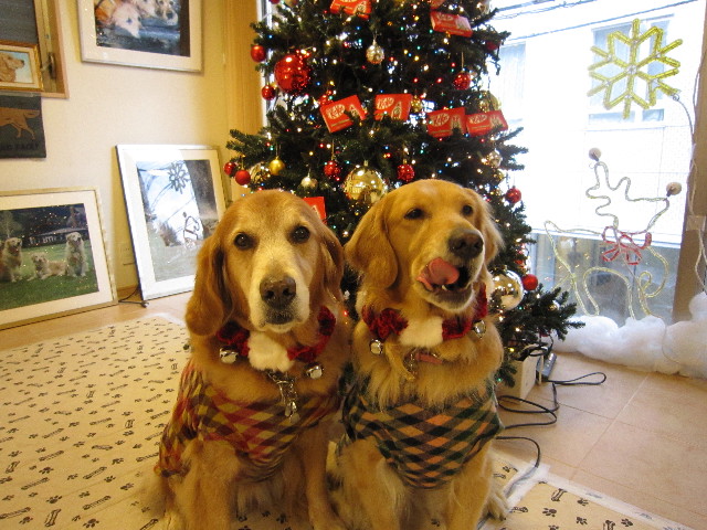 ファイル 1490-5.jpg