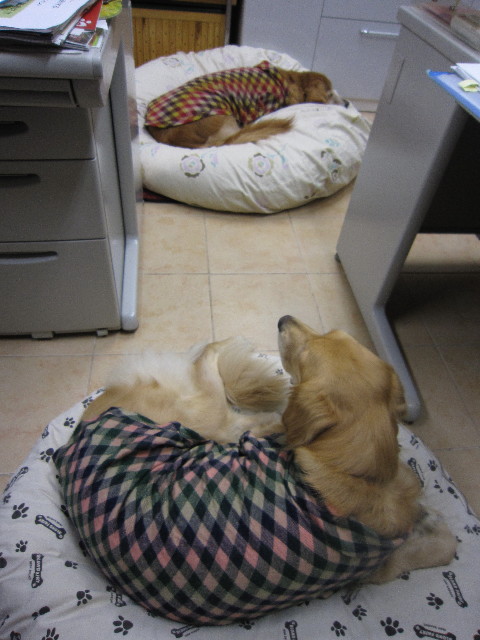 ファイル 1491-3.jpg