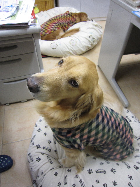 ファイル 1491-4.jpg