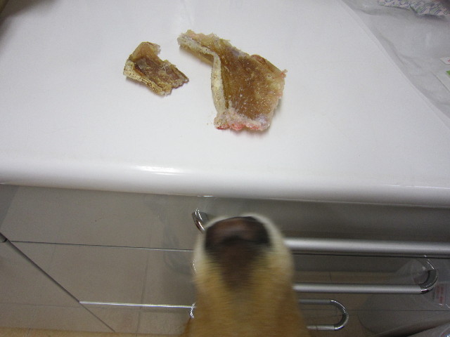 ファイル 1492-1.jpg