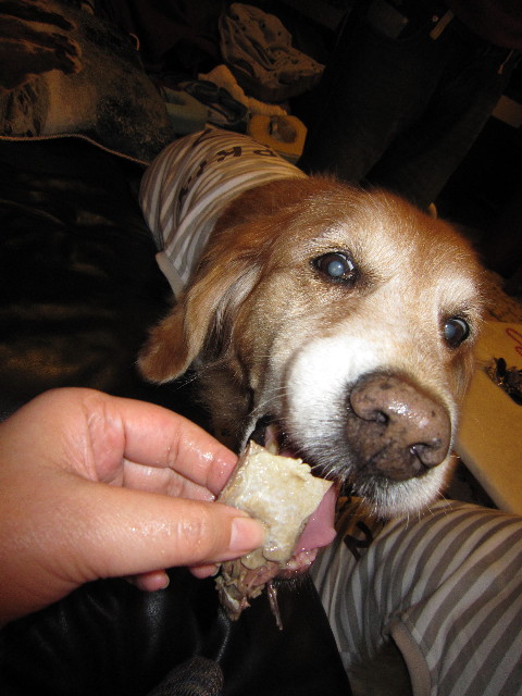 ファイル 1492-4.jpg