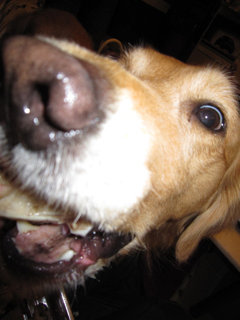 ファイル 1492-5.jpg