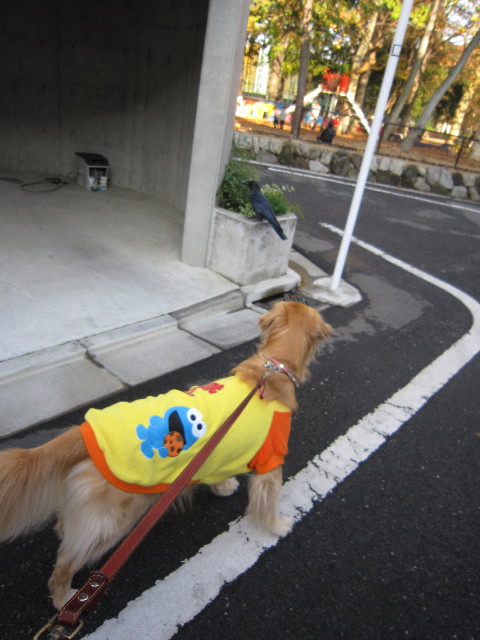 ファイル 1495-1.jpg