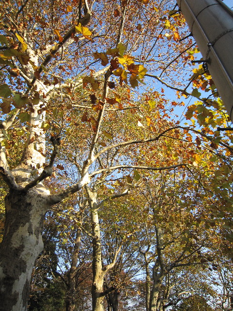 ファイル 1495-4.jpg