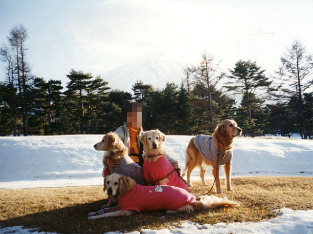 ファイル 1498-3.jpg