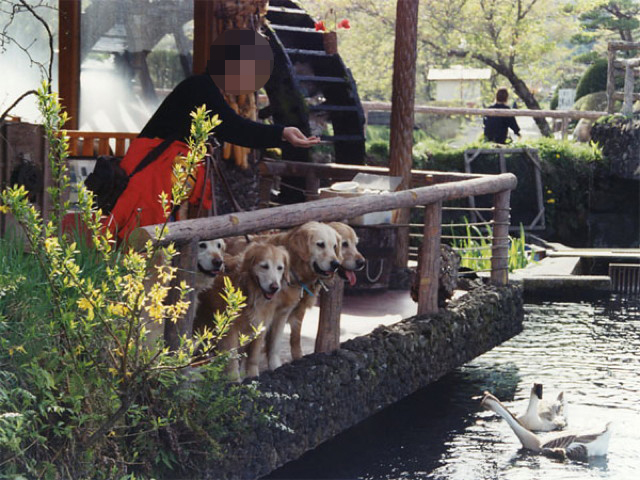 ファイル 1498-4.jpg