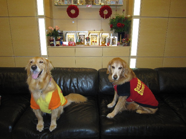 ファイル 1499-4.jpg