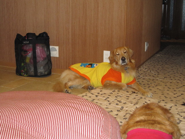 ファイル 1500-1.jpg