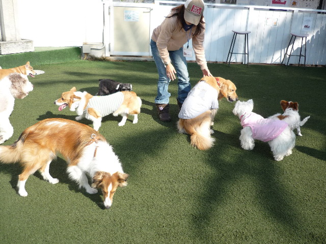 ファイル 1500-3.jpg