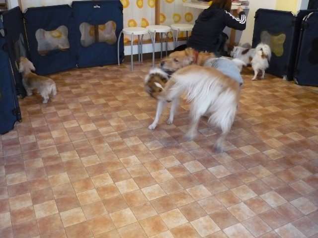 ファイル 1501-4.jpg