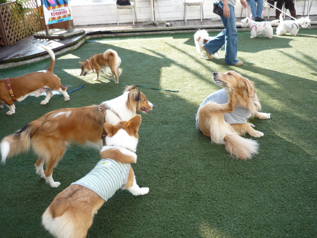 ファイル 1502-1.jpg