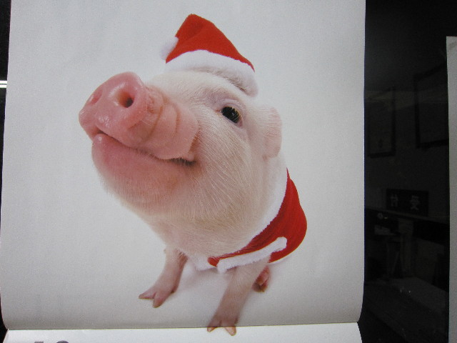 ファイル 1506-1.jpg