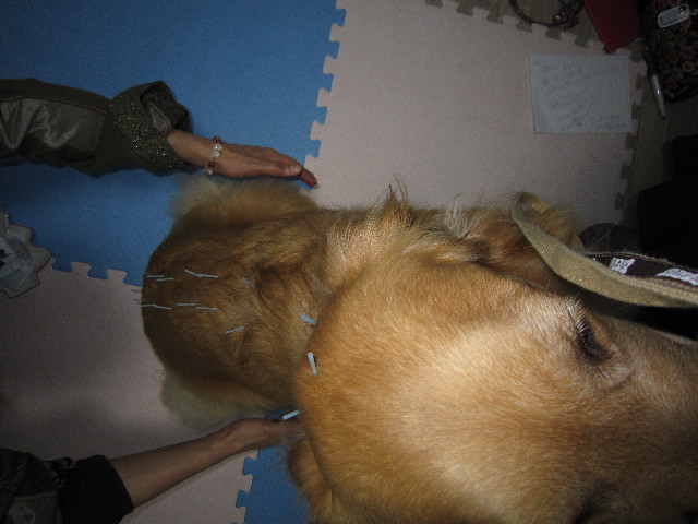 ファイル 1508-3.jpg