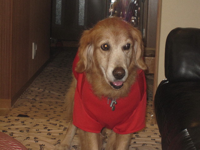 ファイル 1509-2.jpg