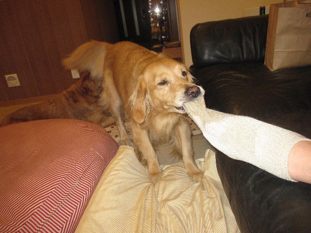 ファイル 1509-5.jpg