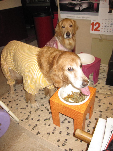 ファイル 1513-1.jpg