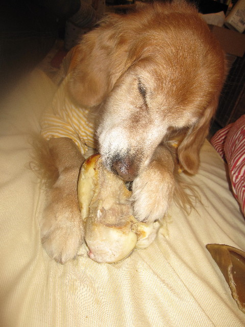 ファイル 1513-4.jpg