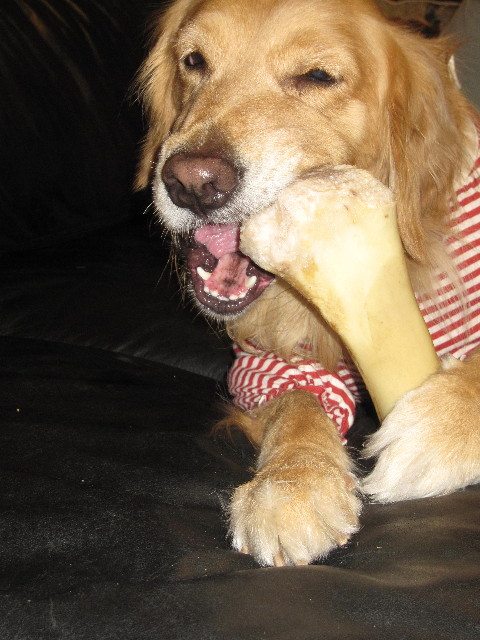 ファイル 1513-5.jpg