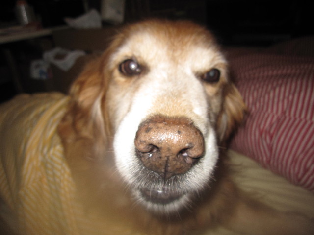 ファイル 1514-4.jpg