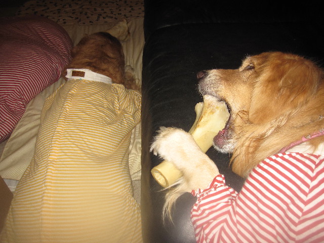 ファイル 1514-5.jpg