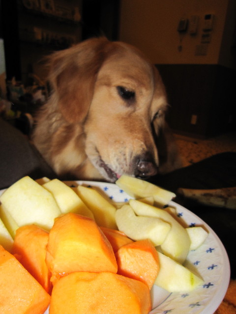 ファイル 1516-1.jpg