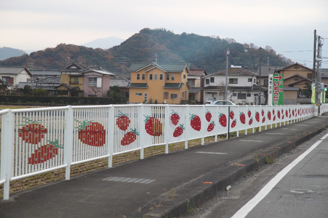 ファイル 1517-1.jpg