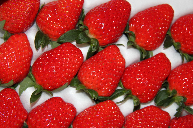 ファイル 1517-2.jpg