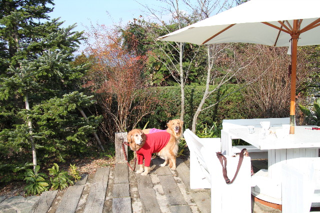 ファイル 1518-1.jpg