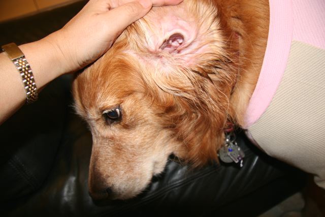 ファイル 152-2.jpg