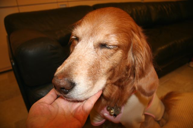 ファイル 152-3.jpg