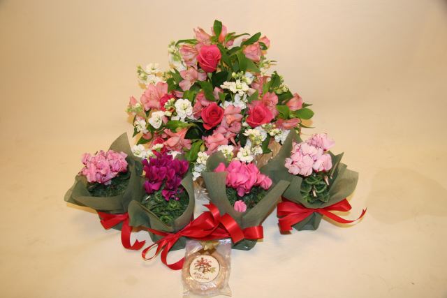 ファイル 152-5.jpg