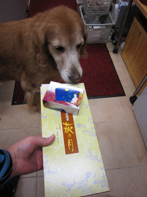 ファイル 1521-1.jpg