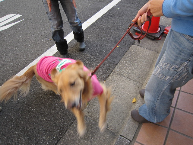 ファイル 1522-2.jpg