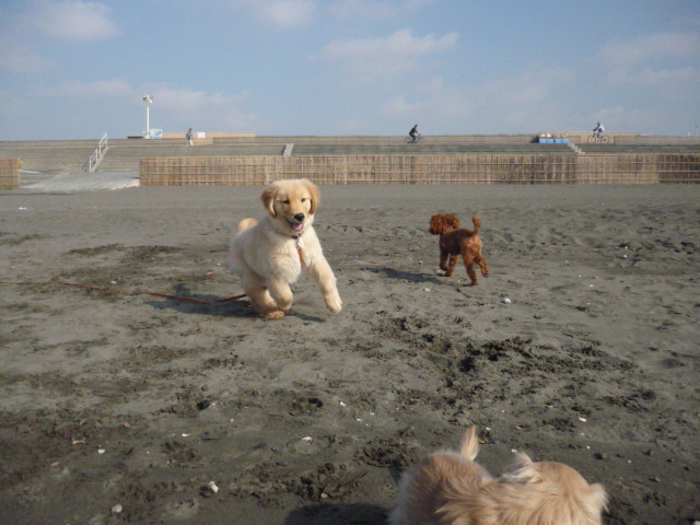 ファイル 1522-5.jpg