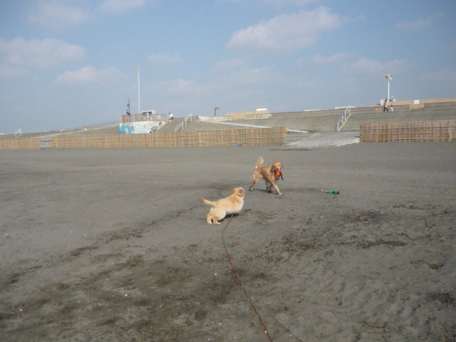 ファイル 1523-4.jpg