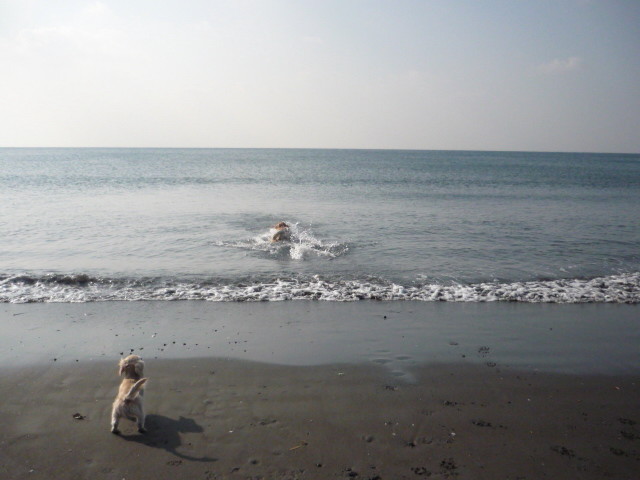 ファイル 1523-5.jpg