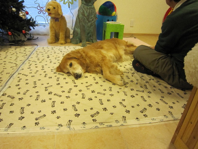 ファイル 1524-1.jpg