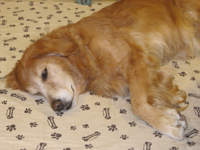 ファイル 1524-2.jpg