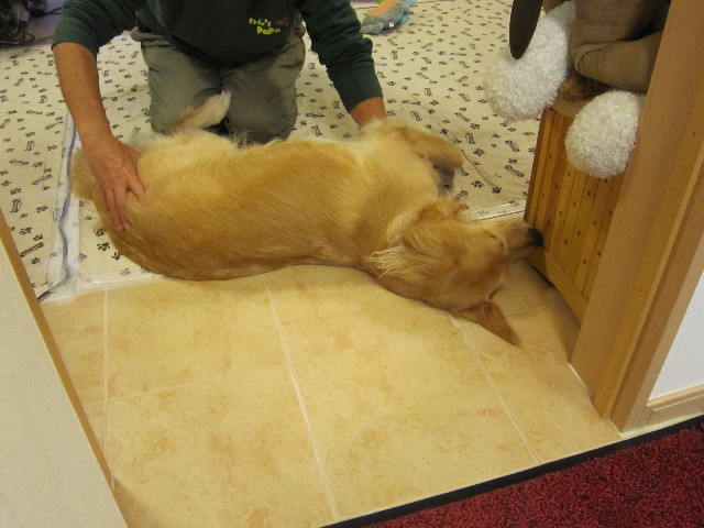 ファイル 1524-4.jpg