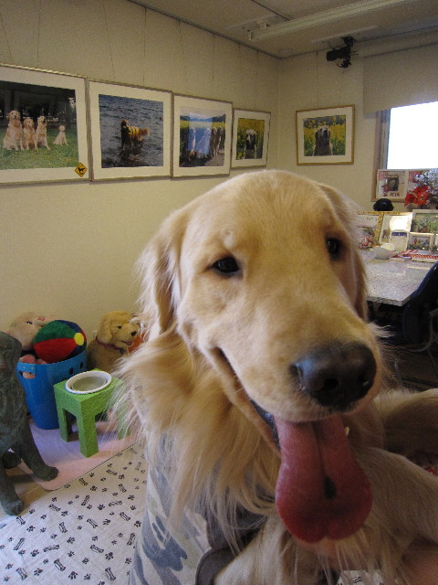 ファイル 1525-2.jpg