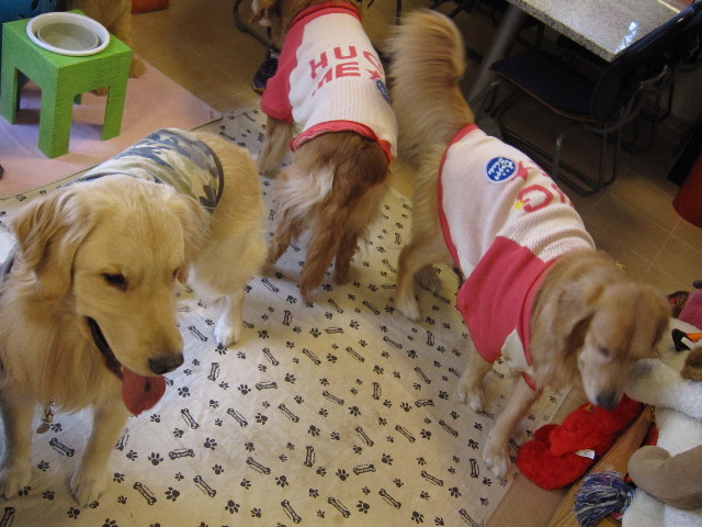 ファイル 1525-3.jpg