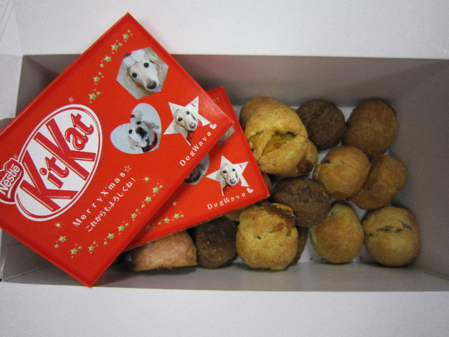 ファイル 1526-1.jpg