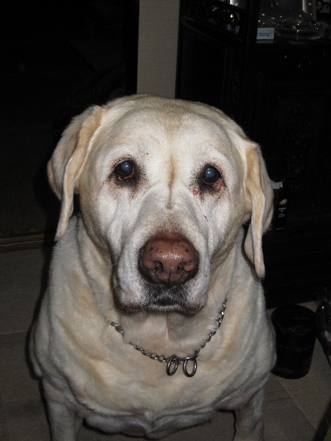 ファイル 1527-3.jpg